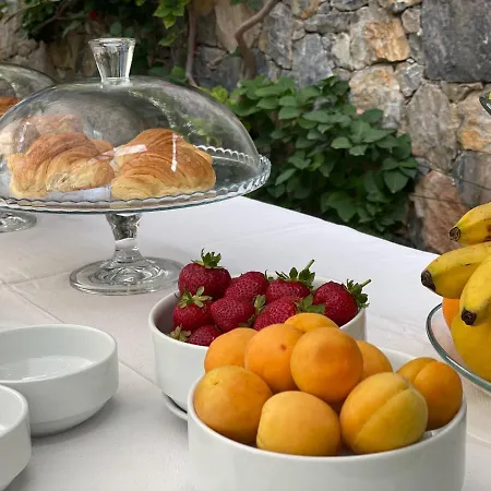 Appartement Mimosa 